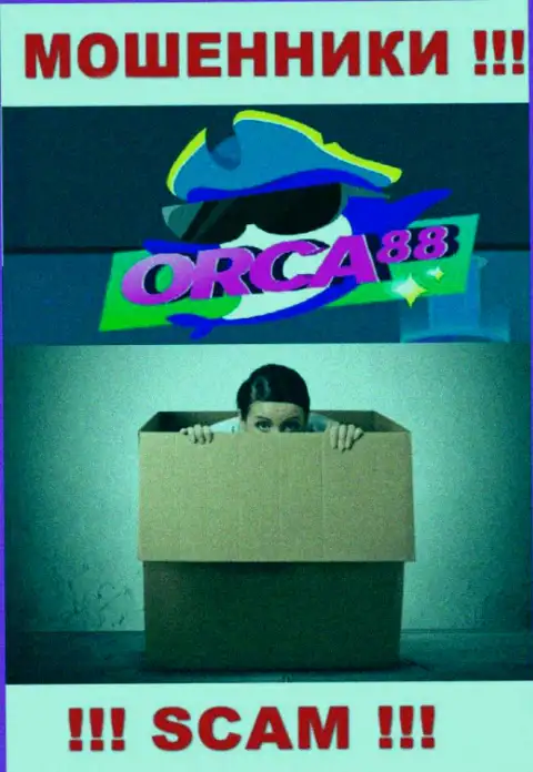 Начальство Orca88 Com в тени, на их официальном интернет-сервисе о себе инфы нет