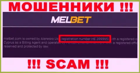 Регистрационный номер Мел Бет - HE 399995 от воровства денег не спасает