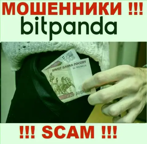Захотели найти дополнительный доход во всемирной паутине с мошенниками Bitpanda Com - это не получится однозначно, обворуют