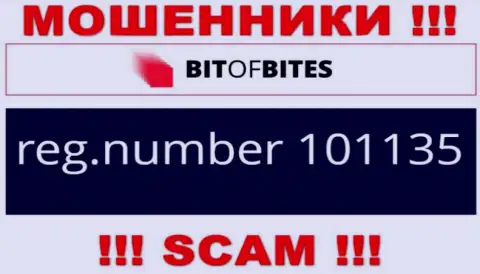 Номер регистрации организации Bit Of Bites, который они представили на своем сайте: 101135