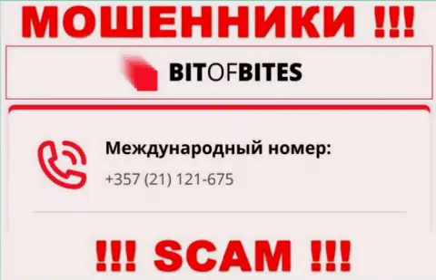 С какого номера телефона позвонят мошенники из компании BitOfBites Com неизвестно, у них их немало