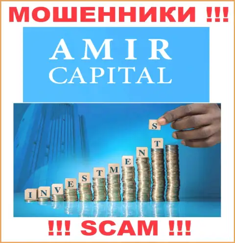 Не отправляйте денежные активы в Амир Капитал, направление деятельности которых - Инвестиции