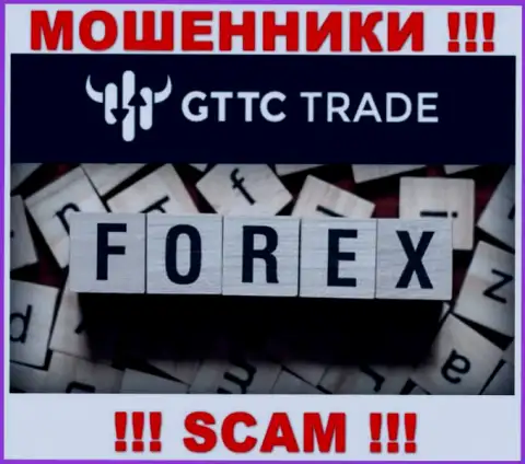 GT TC Trade - это мошенники, их деятельность - Forex, нацелена на прикарманивание денежных вложений доверчивых людей