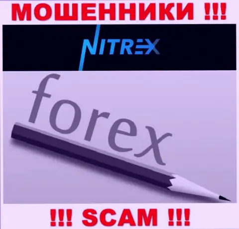 Не отдавайте денежные средства в Nitrex Pro, направление деятельности которых - Forex