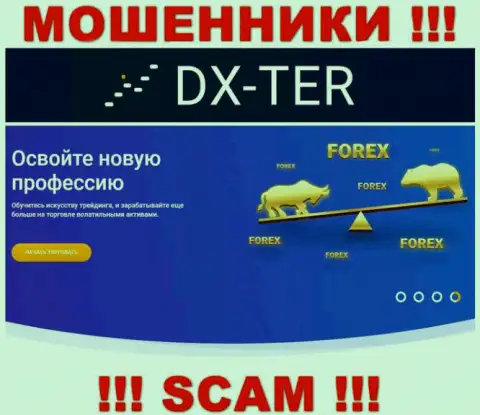 С DXTer работать крайне рискованно, их тип деятельности Forex - это замануха