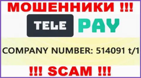 Номер регистрации ТелеПай, который представлен обманщиками на их сервисе: 514091 t/1
