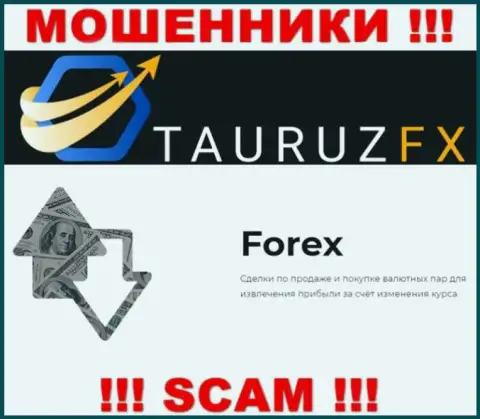 ФОРЕКС - это то, чем промышляют интернет-разводилы TauruzFX Com