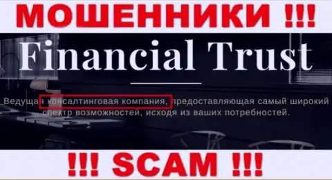 Основная деятельность Financial-Trust Ru это Consulting, будьте осторожны, промышляют преступно
