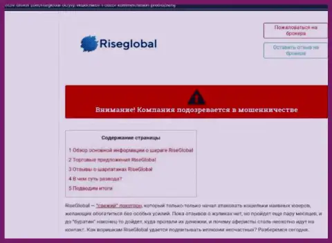 Внимательно изучите предложения совместной работы RiseGlobal, в организации жульничают (обзор проделок)