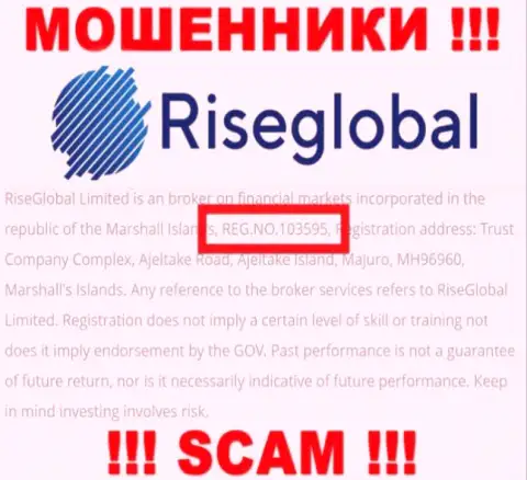 Рег. номер Rise Global, который мошенники разместили у себя на странице: 103595