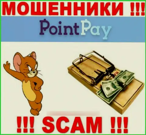 Point Pay LLC - это МОШЕННИКИ, не доверяйте им, если вдруг станут предлагать разогнать депозит