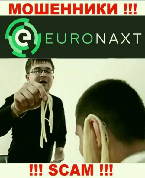 EuroNaxt Com стараются раскрутить на совместное сотрудничество ? Будьте крайне бдительны, дурачат