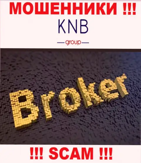 Направление деятельности незаконно действующей компании KNB Group - это Брокер