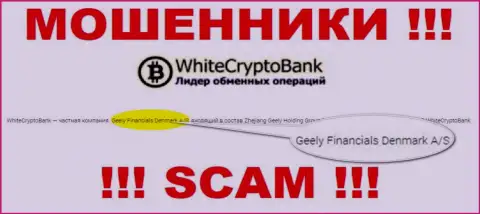 Юридическим лицом, владеющим интернет-обманщиками White Crypto Bank, является Джили Финанс Денмарк А/С