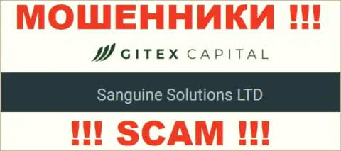 Юридическое лицо GitexCapital - это Sanguine Solutions LTD, именно такую инфу опубликовали мошенники на своем веб-портале