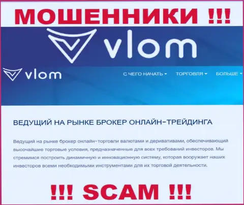 Сфера деятельности преступно действующей компании Vlom - это Брокер