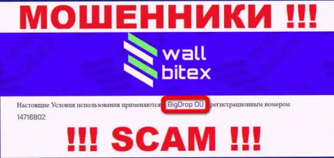 Wall Bitex - это МОШЕННИКИ !!! Руководит данным лохотроном BigDrop OÜ