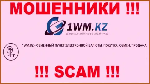 Деятельность мошенников 1WM Kz: Internet-обменник - это капкан для доверчивых клиентов