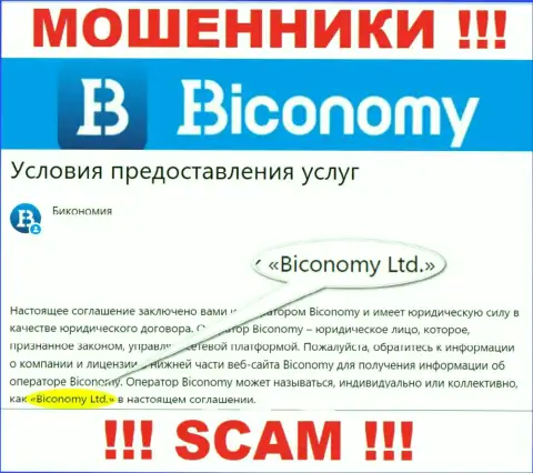 Юридическое лицо, которое владеет интернет-мошенниками Biconomy - это Biconomy Ltd