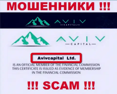 Вот кто владеет конторой Aviv Capitals - это AvivCapital Ltd