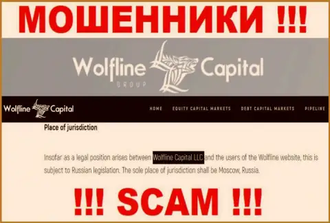 Юридическое лицо компании ВолфлайнКапитал - это Wolfline Capital LLC