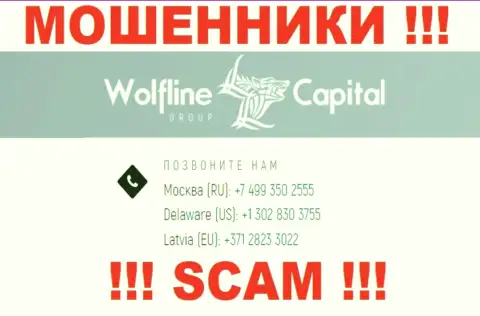 Будьте очень осторожны, вдруг если звонят с незнакомых номеров, это могут оказаться мошенники Wolfline Capital
