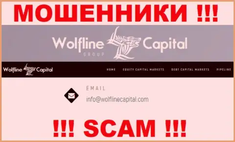 МОШЕННИКИ Wolfline Capital засветили у себя на web-сайте е-мейл организации - отправлять письмо слишком опасно